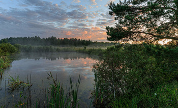 On the pond / ***