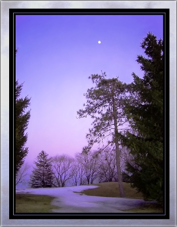 lilac evening blues