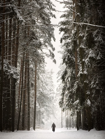 Man and nature ...