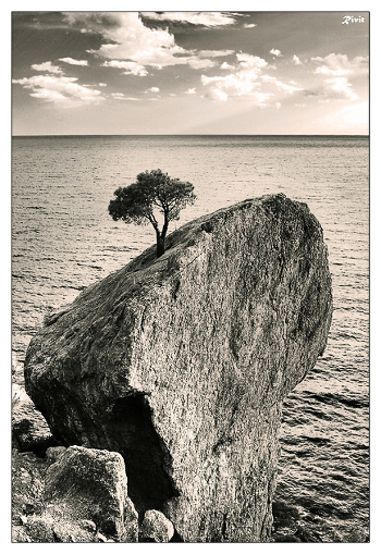 Hermit