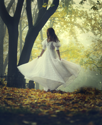 * Giselle *