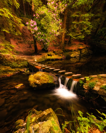 ...fairy place...