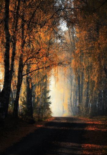 In the morning