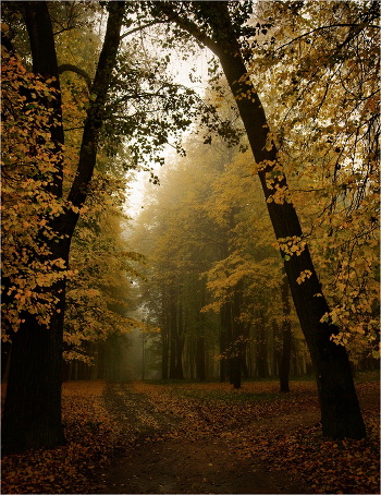 A bit of Autumn