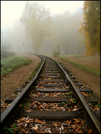 and I\'m going for the fog ...