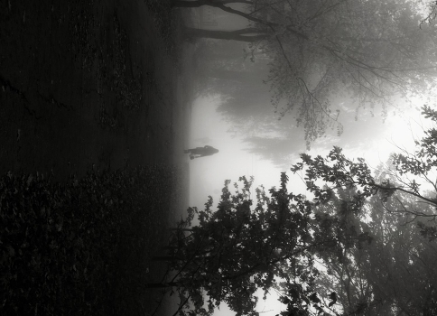 Foggy morning