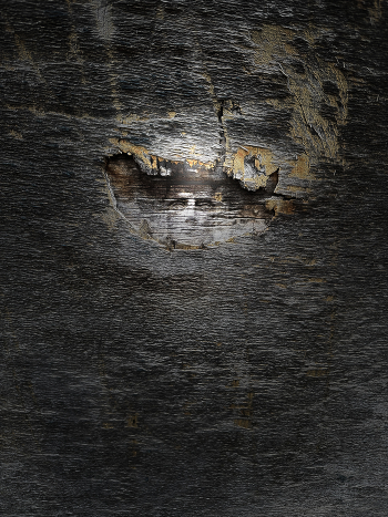 Hidden