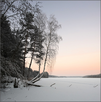 - 18 Celsius