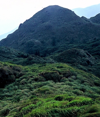The grass on the mountain Qixing