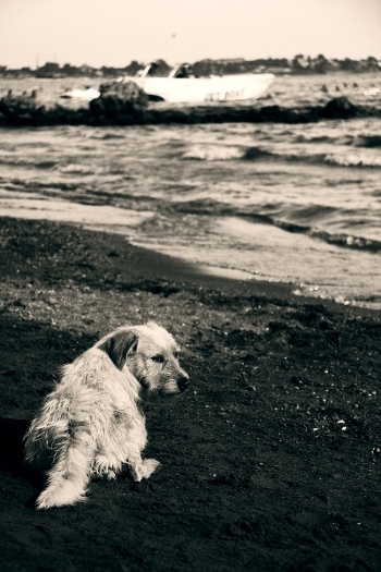 Sehnsucht nach dem Meer