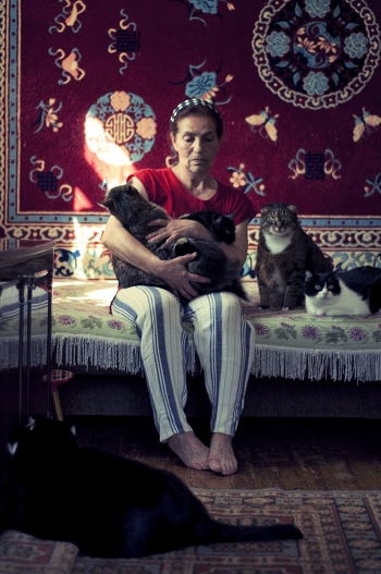 Portrait of a Cat