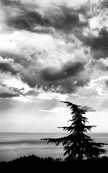 Silhouette