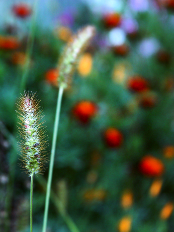 In summer, the outgoing