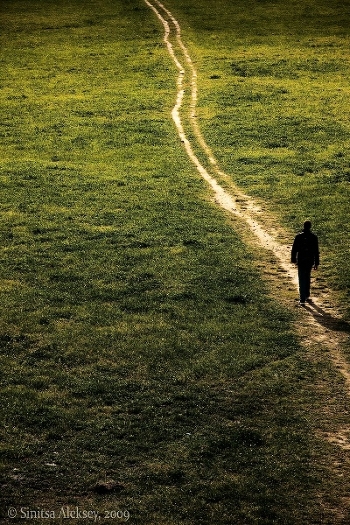 Der Weg an die Spitze.