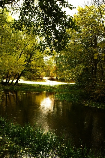 Autumn