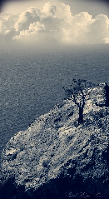 ... Loneliness, growing ...