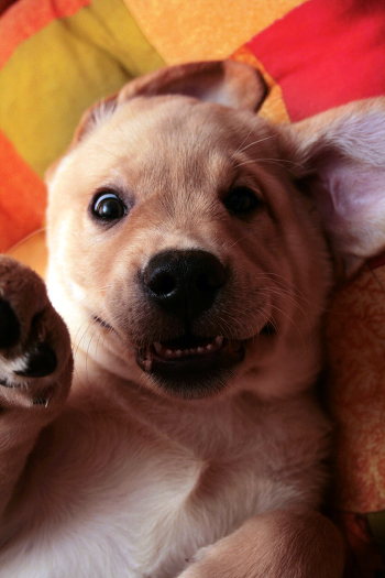 hellooooo