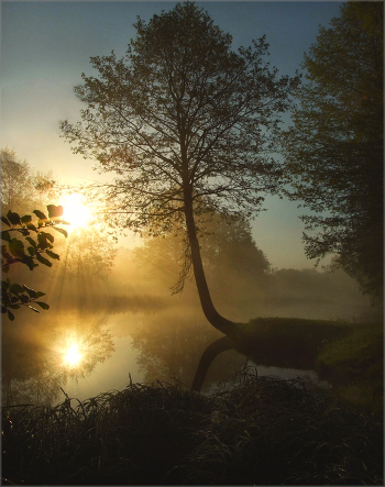 Awakening