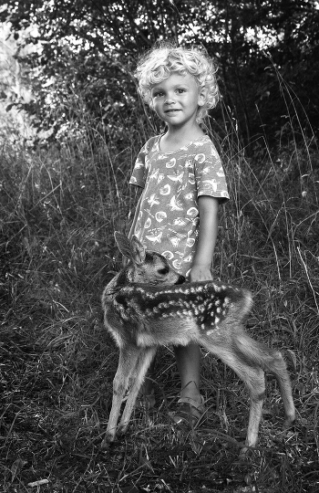 Toddlers (Bambi)