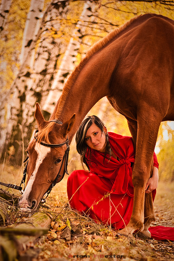 Autumn theme # 2