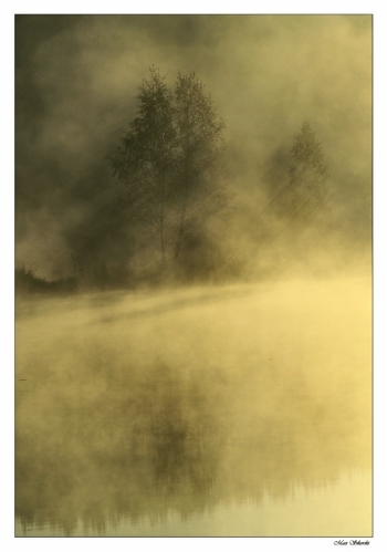 Enveloped in a misty
