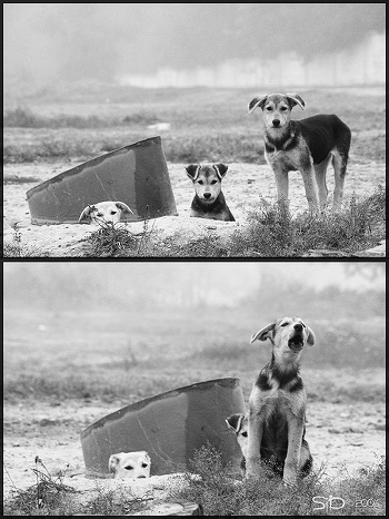 Children of the Underground ...