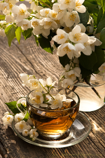 Jasmine tea