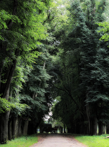 road to the old manor