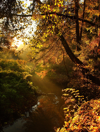 creek