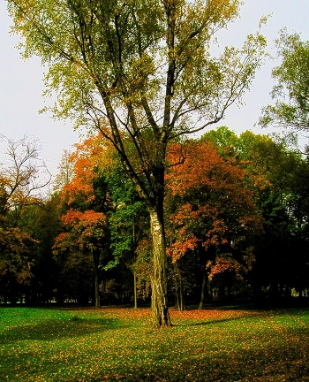 Autumn