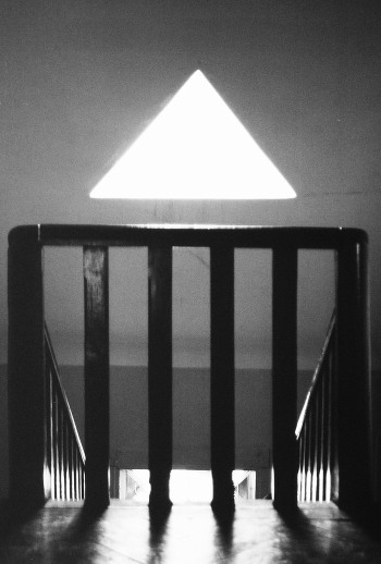 Geometry. On the vertical lines and triangles