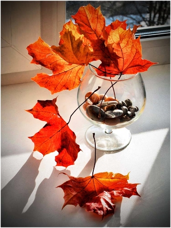 Autumn Still Life