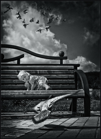 Now sit down at the bird and fly away ...