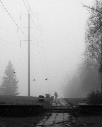 Misty autumn morning ...