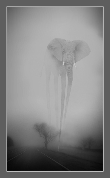 Dali's dream
