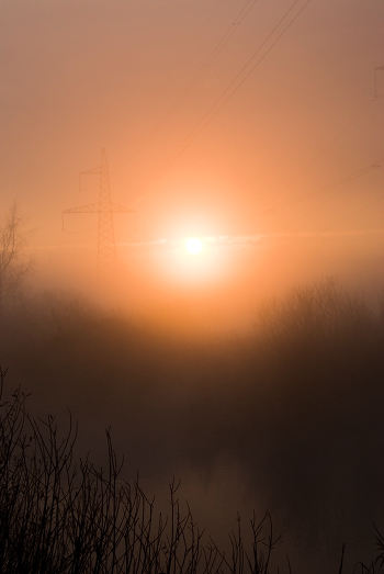 Foggy morning