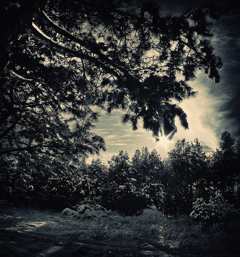 Winter\'s Tale