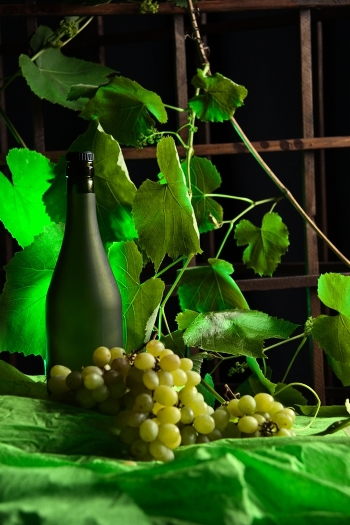 still life