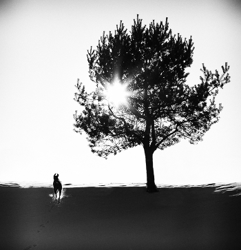 Place where the sun.