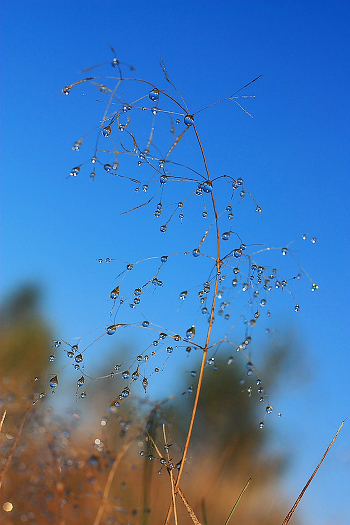 Droplets