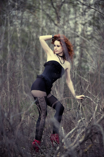 In the Forest