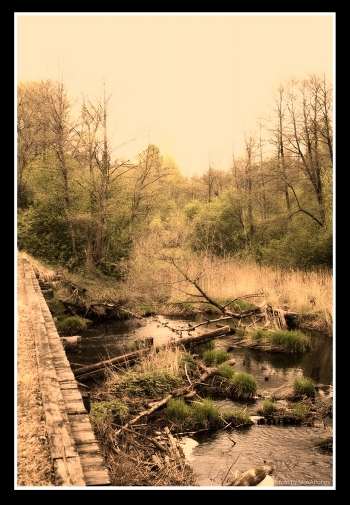 Bridge