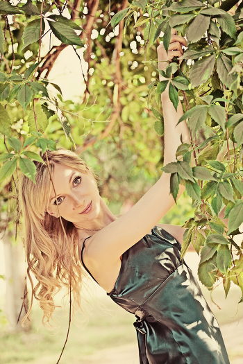 In the Garden