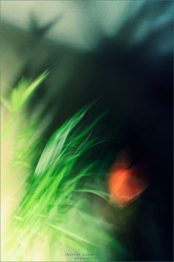 ‎[ Night Views ]