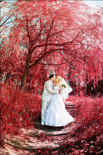 Vadim&Katya