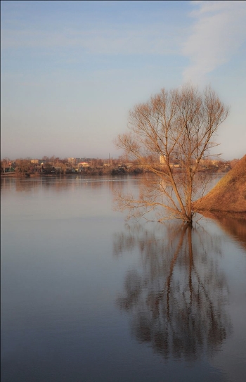 Spring reflection
