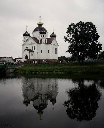The water reflected.