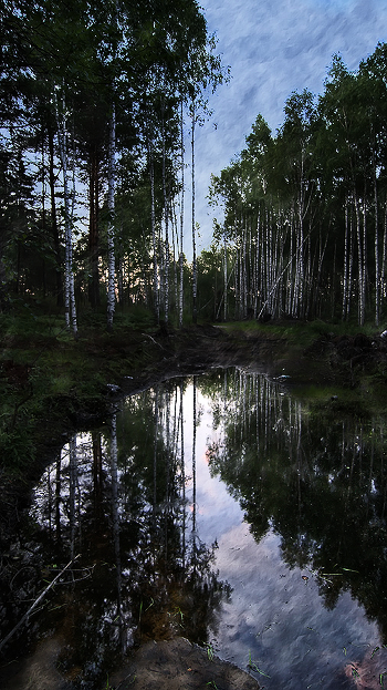 Birch (color)