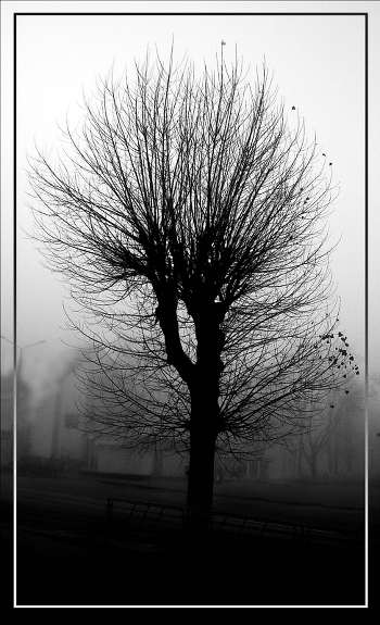 Loneliness