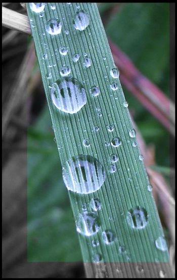 Green power